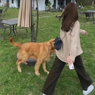 初入职场·中医季